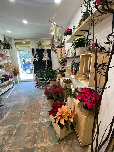La Bonica Floristeria