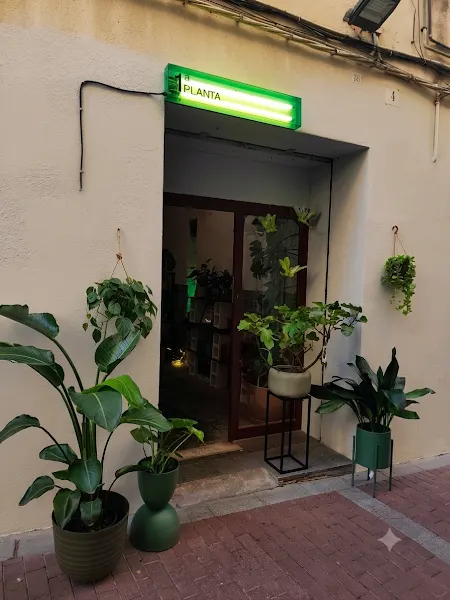 Primera Planta Store