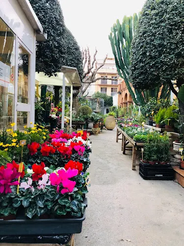 Ricardo Font Floristes