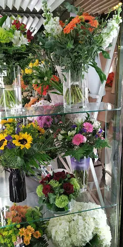 La Ponsetia - Floristería en Madrid