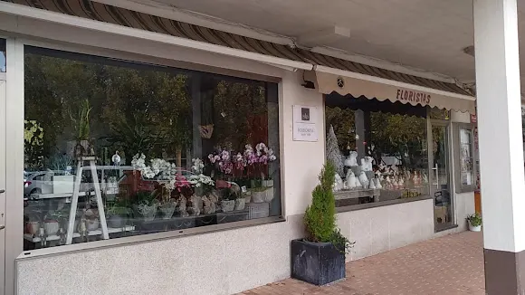 FLORISTERÍA BOLBORETA