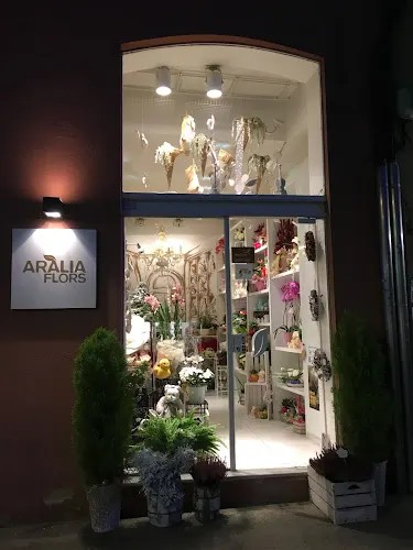Aràlia Flors (rambla del Carme)