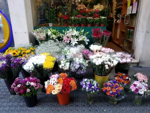 Floristería Carlos Poles