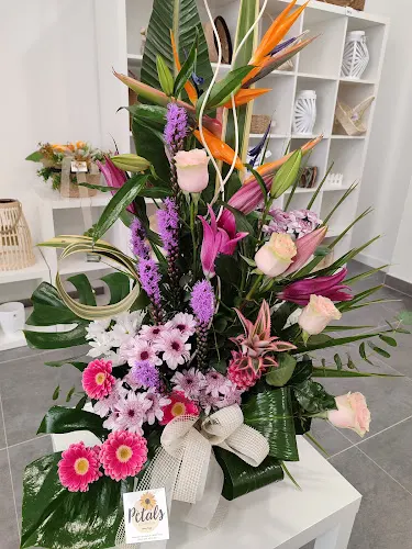 Petals Floristes