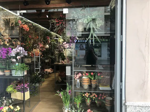 DA Not just flowers