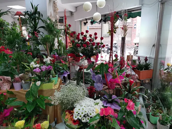 Floristeria Jardinet