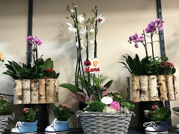 Floristeria Olivares
