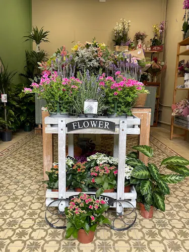 El camí de les flors
