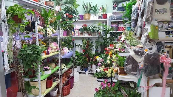 Pajarería Floristería Rodríguez