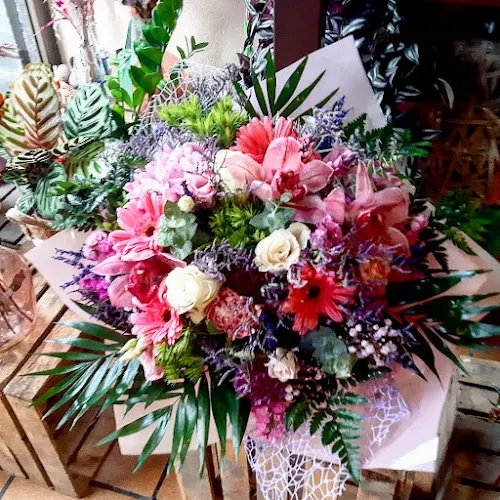 Pura Vida flors i plantes