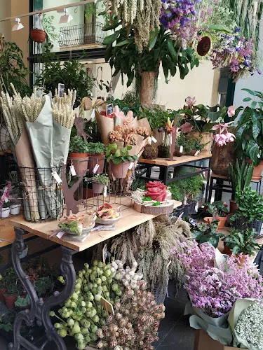 Pasanau Flores