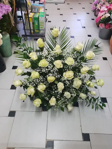 Floristería Peñaranda - Floristería en Penaranda de Bracamonte