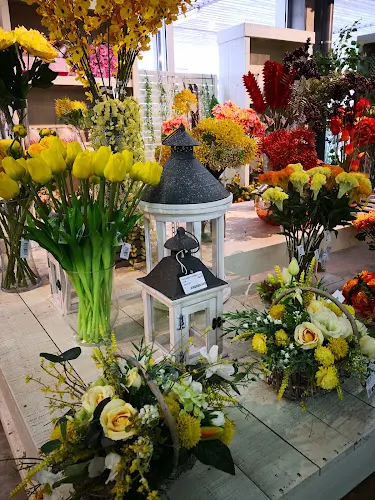 Garden i Floristeria LaFACT