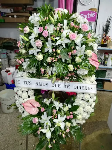Flores Domi - Saldana