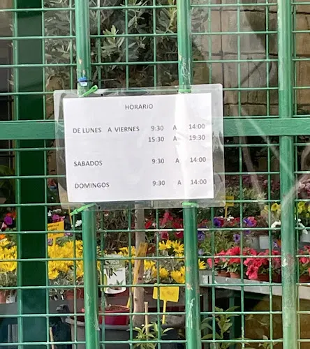 Vivero AlcaDecor - Villalbilla