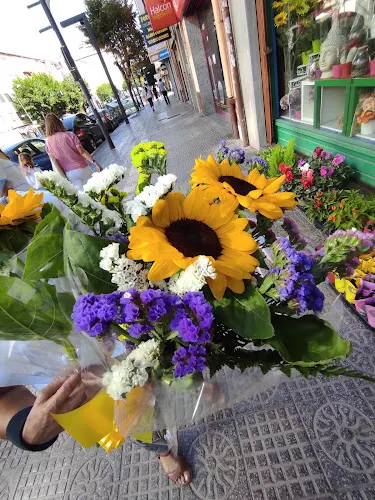 Floristería Marisol