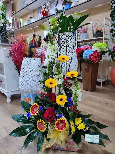 Floristería Hogar y Plantas