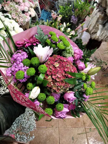 Citores Flor