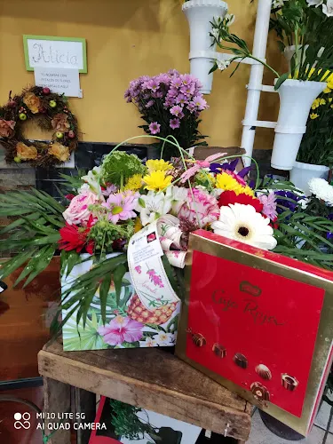 Floristería Érica Burgos