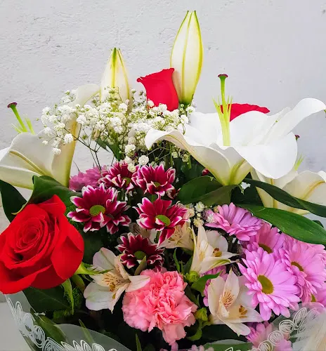 Floristería Inés