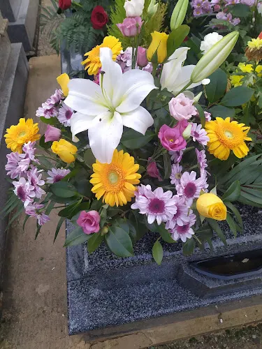 Floristeria Vegaflor