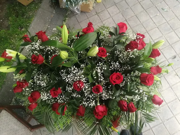 Flores y Plantas Hnos Suarez