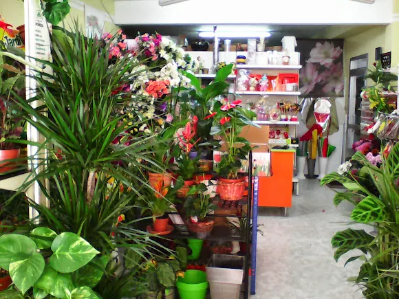 Floristería Greflor - Montehermoso