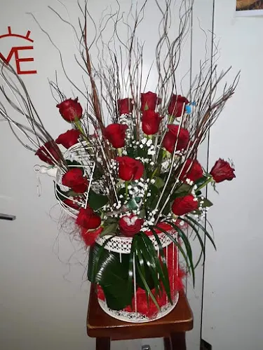 Floristería Esther - Casar de Caceres