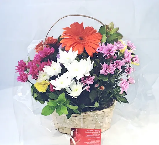 Floristería HERVAL, Cañaveral - Canaveral