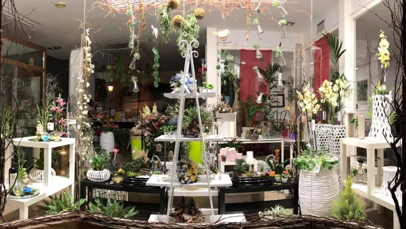 Flores, plantas, regalos la Camelia - Moraleja