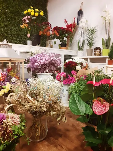 Floristería MiPiti