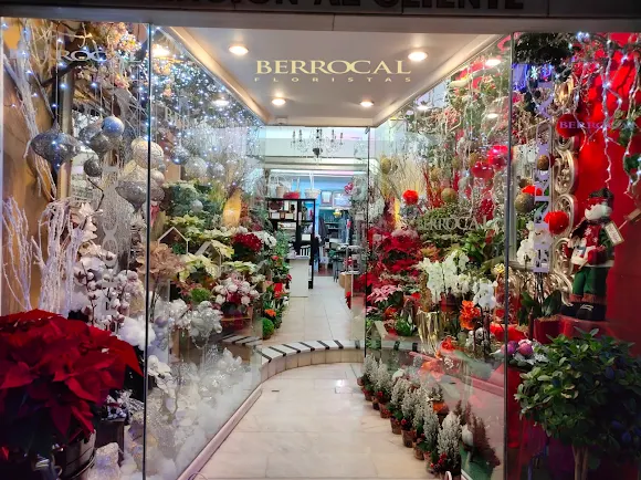 Berrocal Floristas