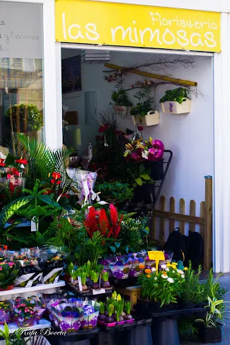 Floristería Las Mimosas