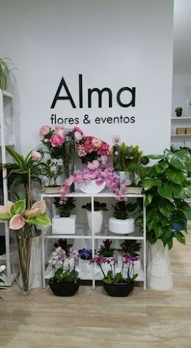 Floristería ALMA (Flores & Eventos)