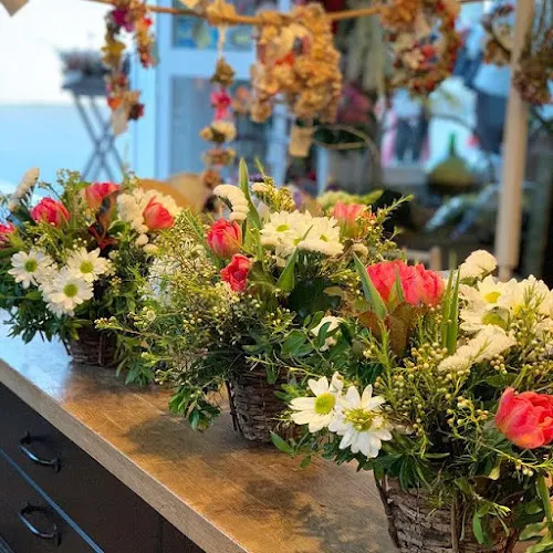Floristería Cotton Candy - Floristería en Conil de la Frontera
