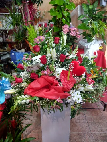 Floristería Hnos Olmedo