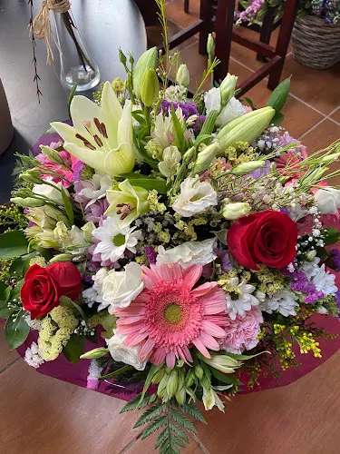 FLORISTERÍA SOL Y FLOR