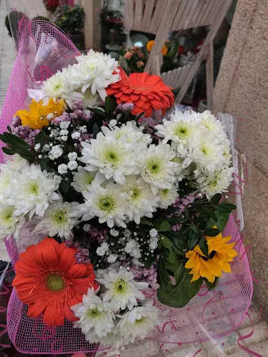 Barbara arreglos florales