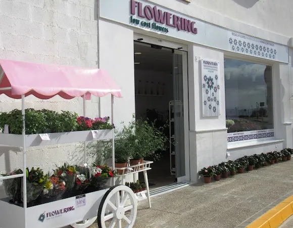 Floristería Cadiz - El Coronil