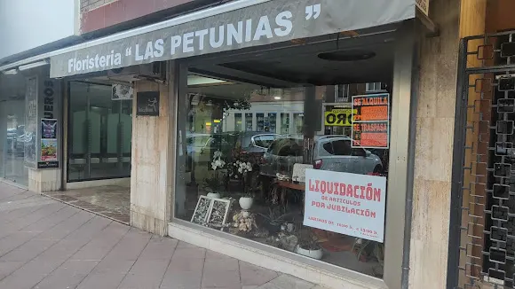 Floristería Las Petunias - Floristería en Algeciras
