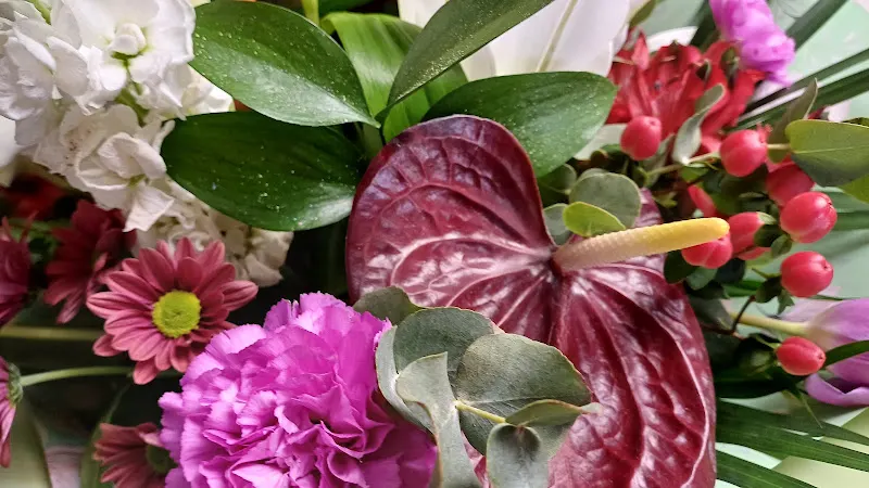 Floristería Jelcal - Colindres