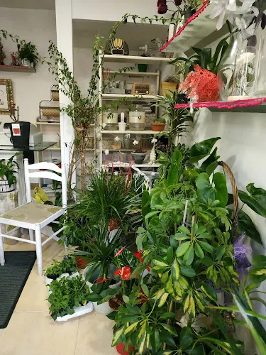 Floristería Maku