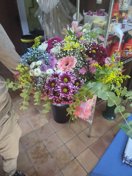 Floryplant