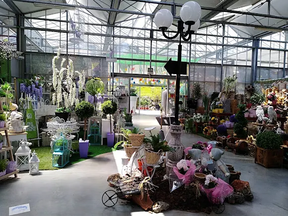 Flores Y Plantas José Pérez