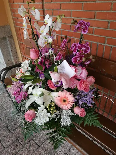 Floristeria Carmina - Laredo