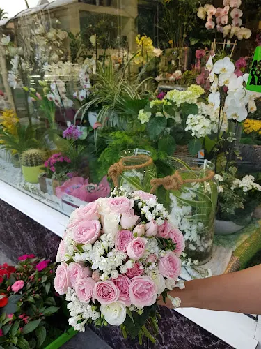 Floristería - La Barrera