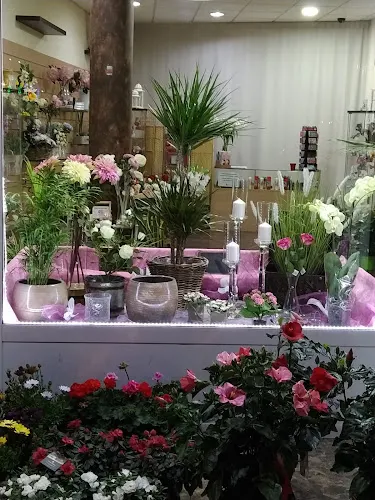Natural Flores Y Plantas