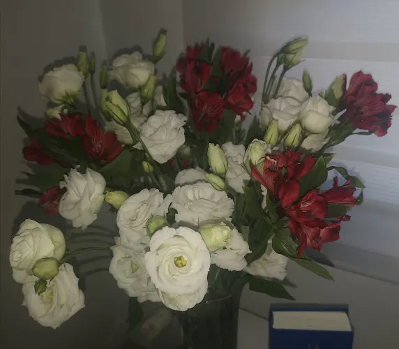 Floristeria El Jardin