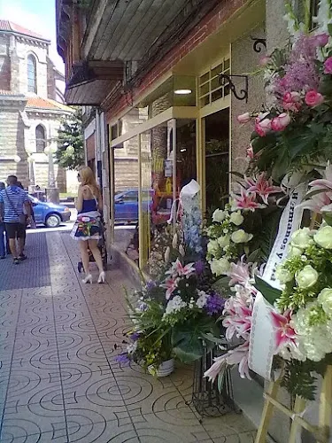 FLORISTERÍA ALTEA