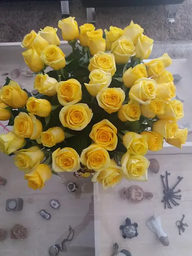 Flor & Drap - Floristería en Moncofa